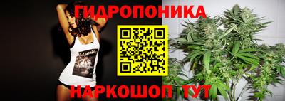 индика Ирбит