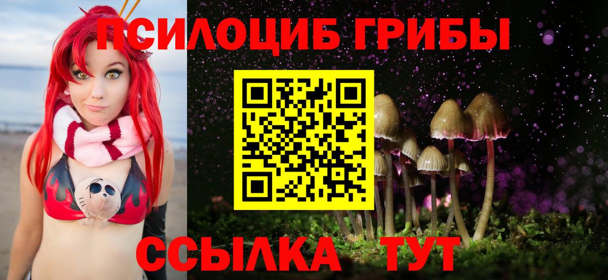 Медногорск  Псилоцибиновые грибы Psilocybine cubensis  Вход с VPN  Галлюциногенные грибы Cubensis 