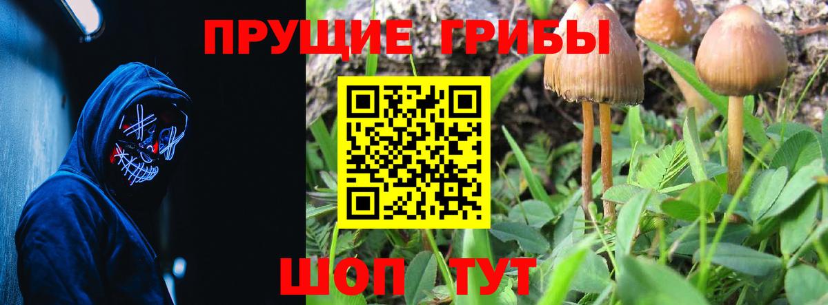 Галлюциногенные грибы Cubensis Медногорск